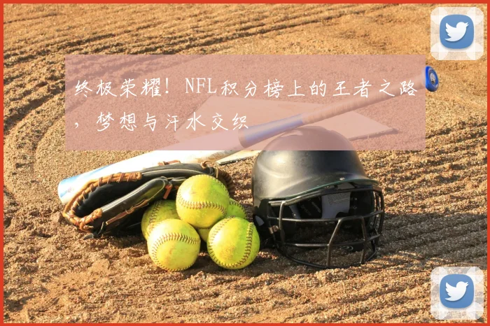终极荣耀！NFL积分榜上的王者之路，梦想与汗水交织
