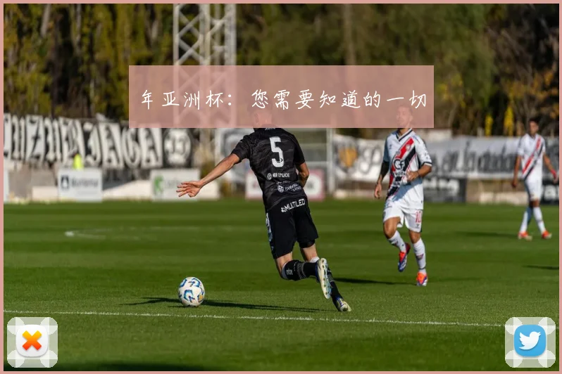 年亚洲杯：您需要知道的一切