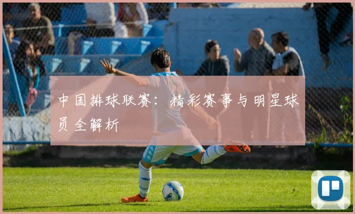 中国排球联赛:精彩赛事与明星球员全解析
