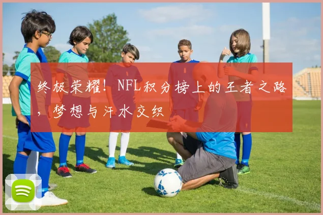 终极荣耀！NFL积分榜上的王者之路，梦想与汗水交织